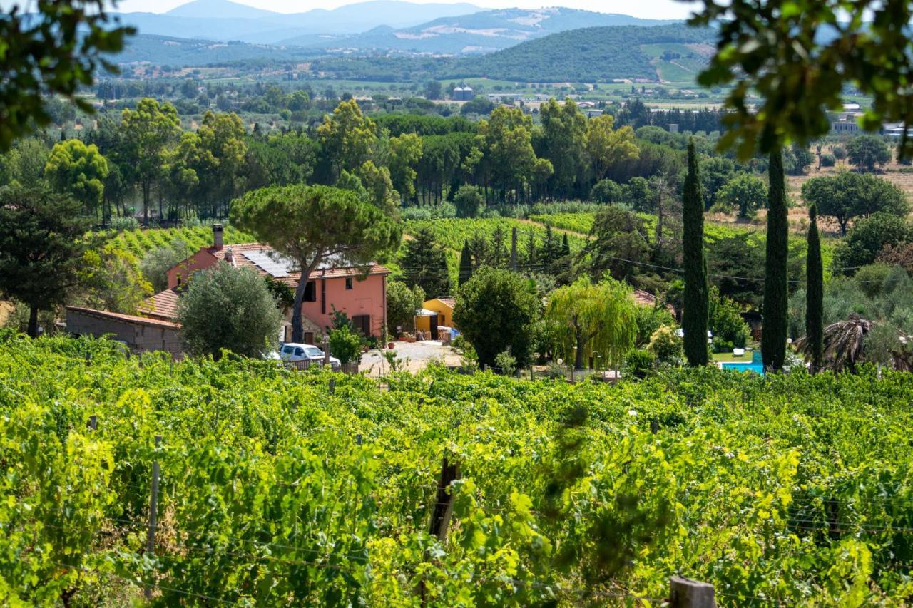 Agriturismo Colle Vento スヴェレート エクステリア 写真