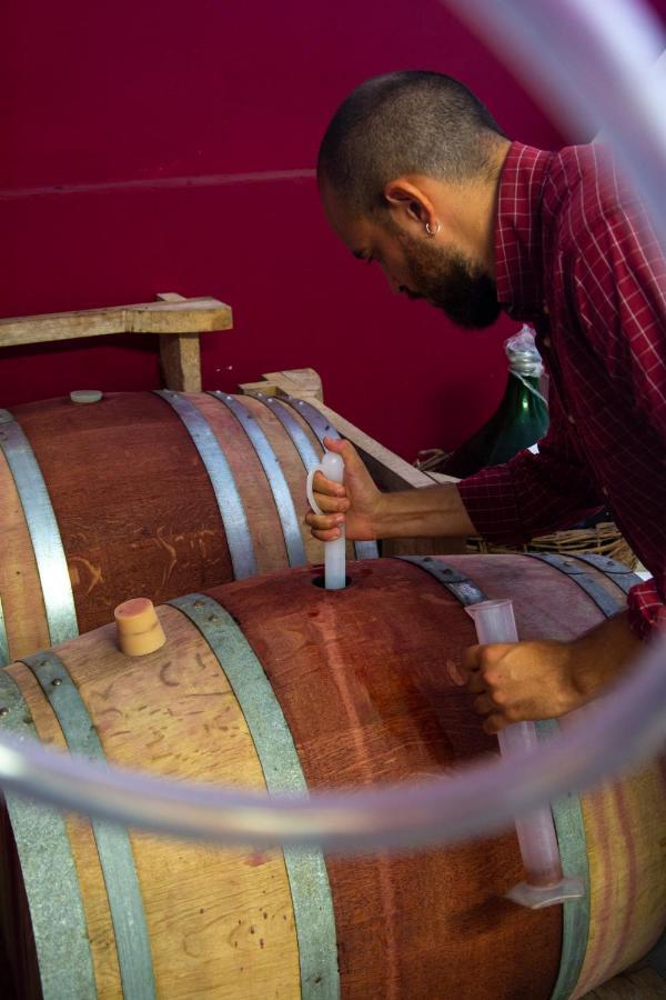 Agriturismo Colle Vento スヴェレート エクステリア 写真