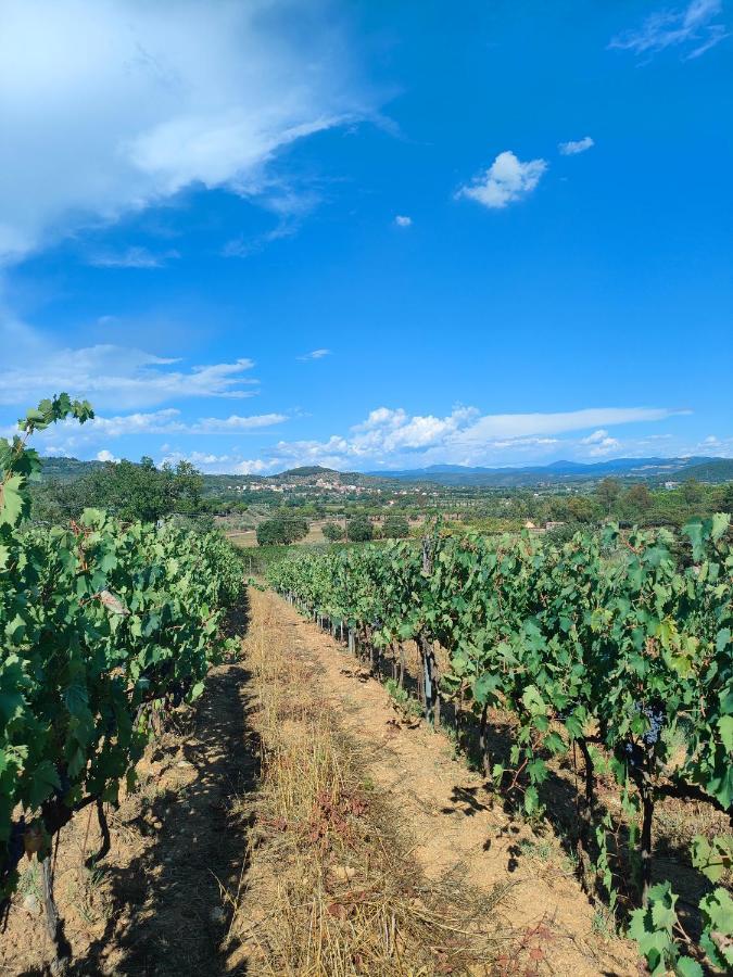 Agriturismo Colle Vento スヴェレート エクステリア 写真