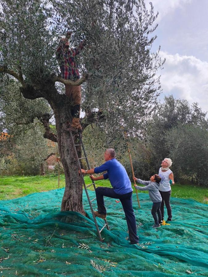 Agriturismo Colle Vento スヴェレート エクステリア 写真