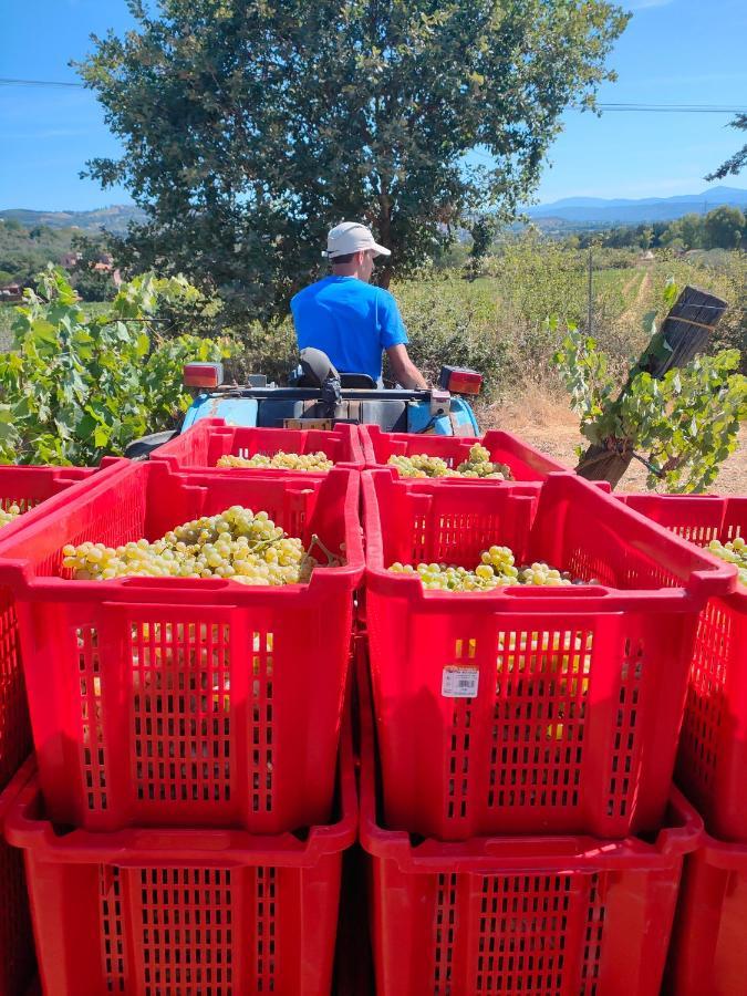 Agriturismo Colle Vento スヴェレート エクステリア 写真