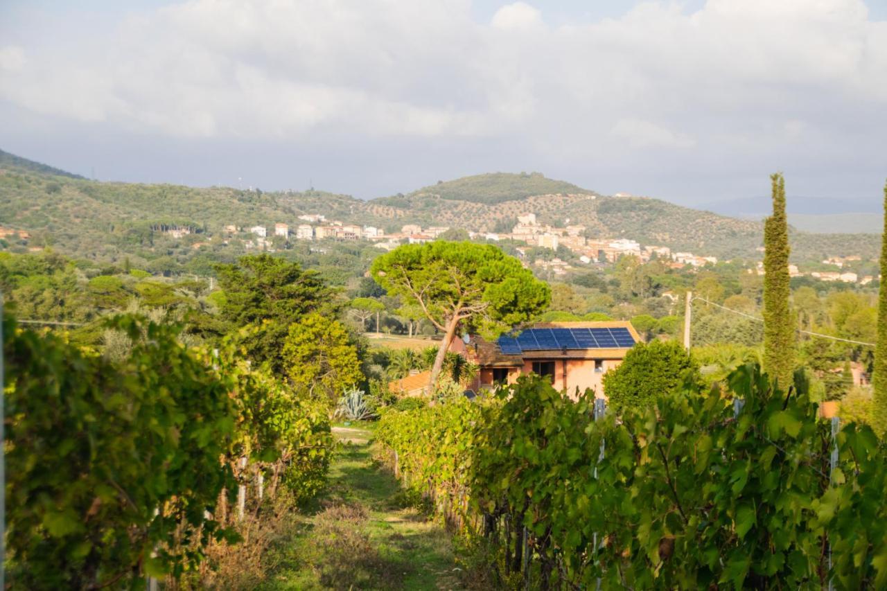Agriturismo Colle Vento スヴェレート エクステリア 写真